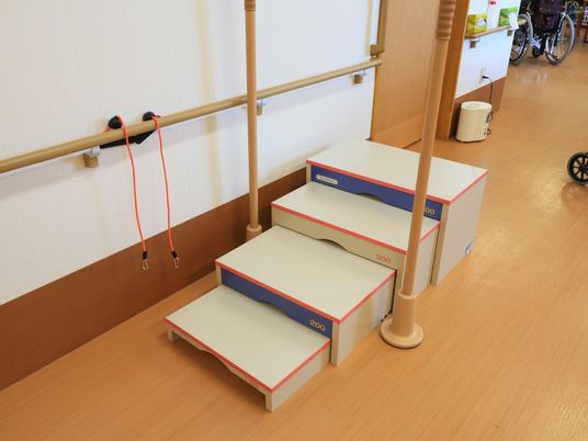 機能訓練用のステップ台