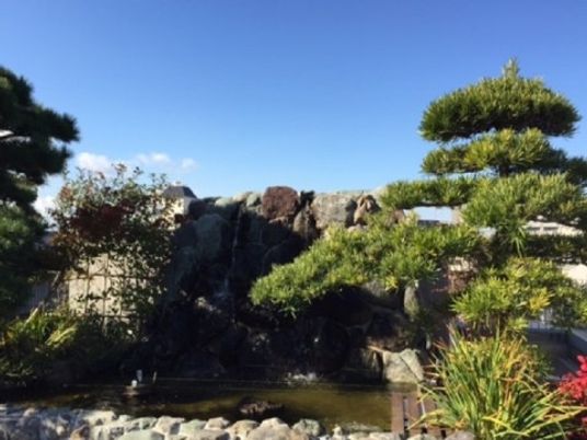 緑豊かな中庭風景