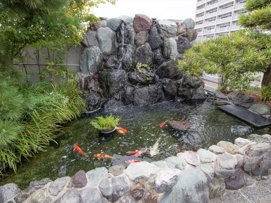 中庭の錦鯉と滝
