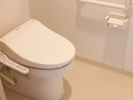 清潔なトイレの一角
