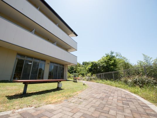 緑豊かな建物外観