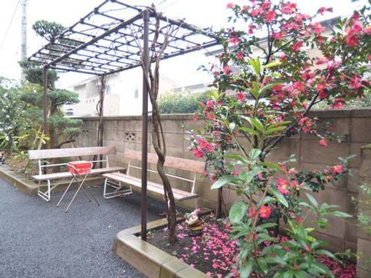 中庭の木々とベンチ