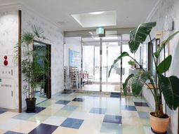 明るい廊下の植物装飾