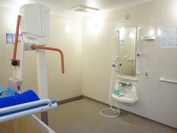 浴室のリフトと手すり