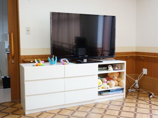 居室のテレビとおもちゃ