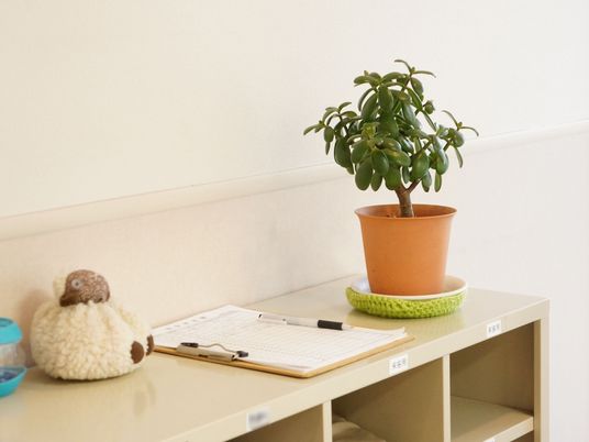居室の机と観葉植物