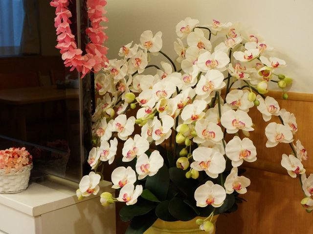 白い胡蝶蘭が咲く室内 食堂 ゆったりとした空間に彩りを添える胡蝶蘭。リラックスした時間を過ごせる環境がここにあります。