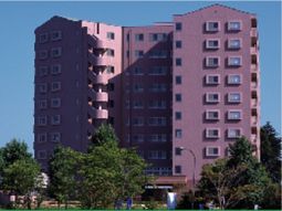 ピンクの大きな建物