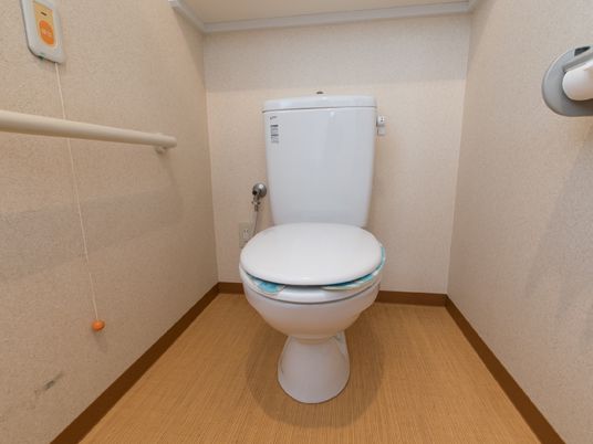 手すり付きの清潔なトイレ