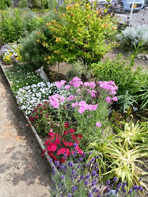 色とりどりの花々の庭