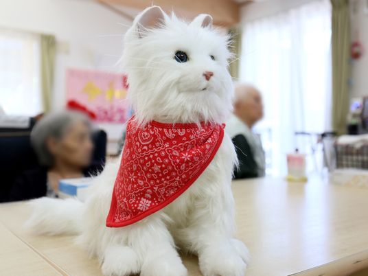 白い猫型ロボットの居室