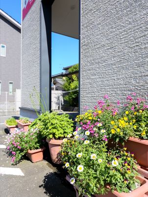 花々と建物の外観