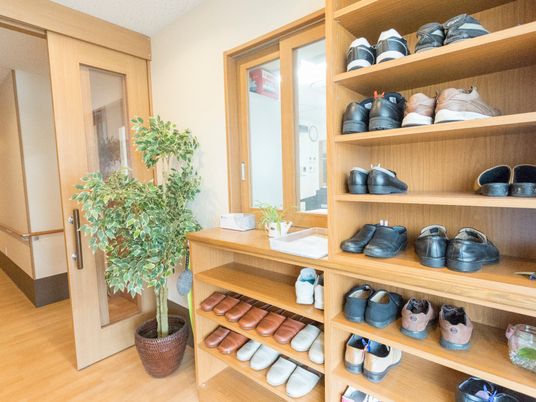 玄関スペースの植物と靴棚