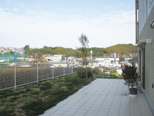広々とした清潔な中庭