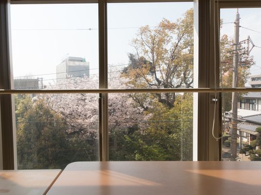 窓越しの桜と緑景色