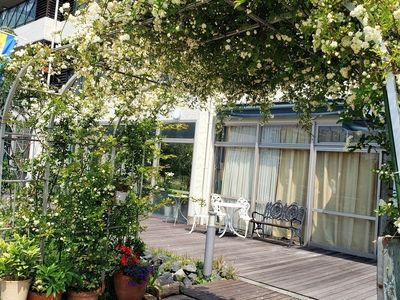 花が咲く中庭