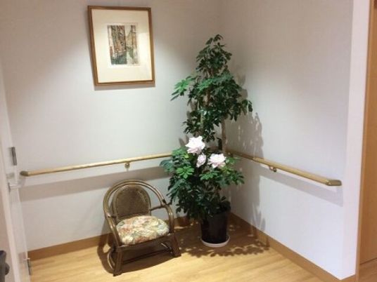廊下の植物と椅子