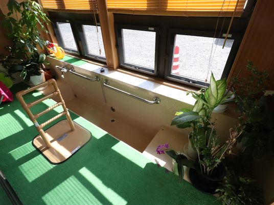 緑のカーペットの窓際スペース