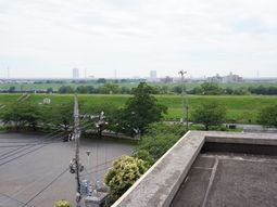 広がる緑の風景