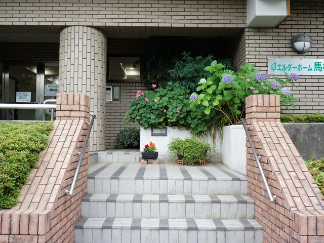 緑植えられたエントランス 施設入り口 手すり付きの階段があり、自然の緑に囲まれたエントランスです。訪問者をやさしく迎える空間が広がっています。