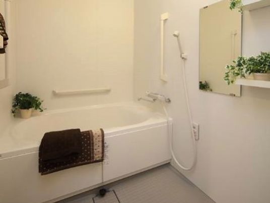 清潔な浴室照明の明るさ