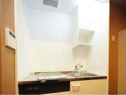 清潔な洗面台の設備