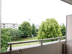 緑豊かな中庭の眺望