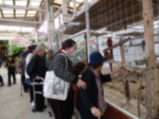 中庭での鳥の見守り