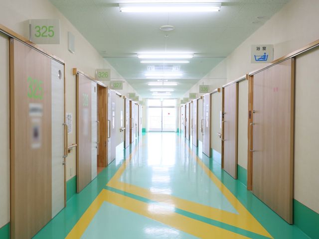 清潔な廊下と部屋の番号 通路 番号表示が明確な清潔感のあふれる廊下です。明るい色合いと広い通路は訪れる人々に快適な環境を提供します。