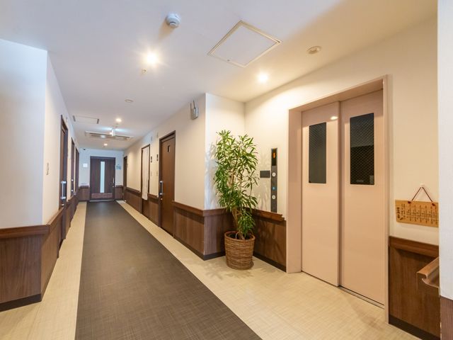 エレベーターのある廊下 廊下 明るい照明と観葉植物が配置された長い廊下です。エレベーターがあり、移動もスムーズです。