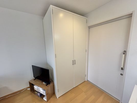 収納とテレビの居室