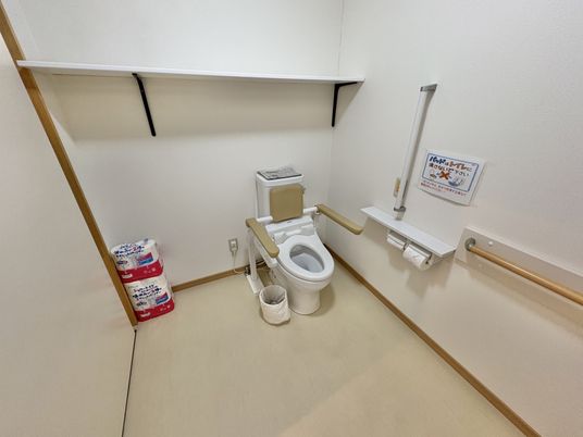 手すり付きのトイレ