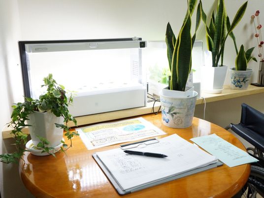 植物と書類のあるデスク
