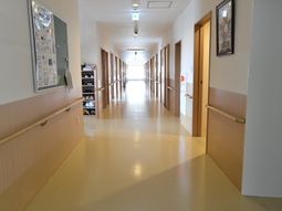 明るい廊下の様子