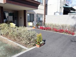 明るく清潔なエントランス