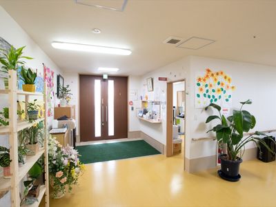 明るい廊下と植物