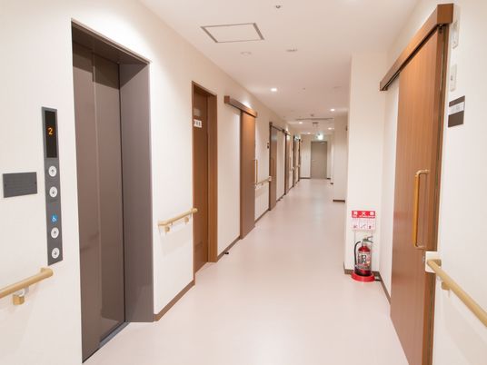 清潔感ある明るい廊下