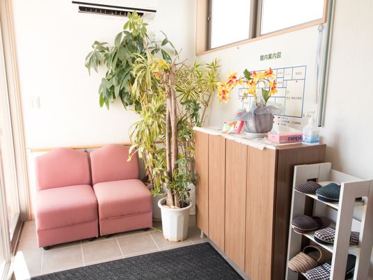 待合室の植物とソファ