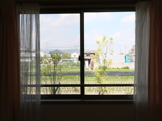 窓越しの景観