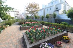 中庭の風景