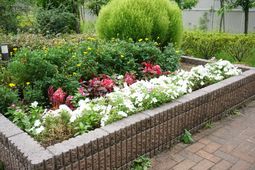 色とりどりの花壇