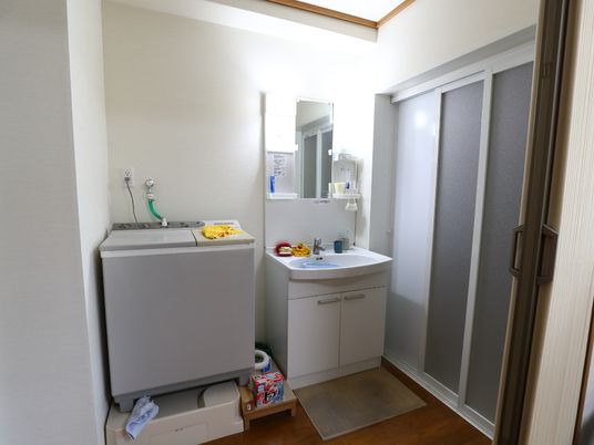 清潔な洗面台と洗濯機 