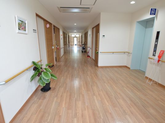 清潔な廊下の様子
