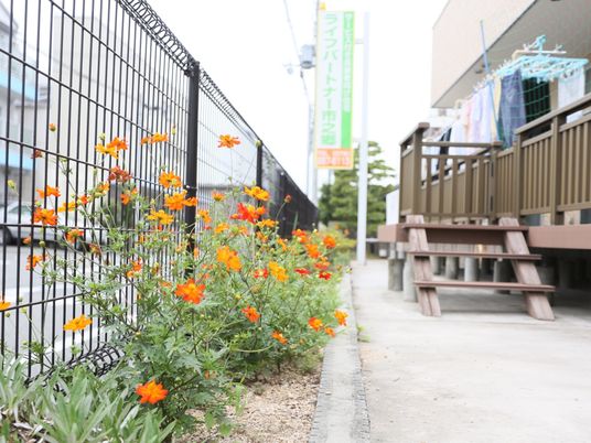 色鮮やかな花とベンチ