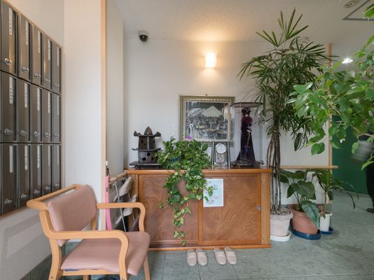 エントランスの植物と家具