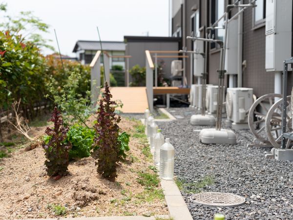 中庭の緑地帯