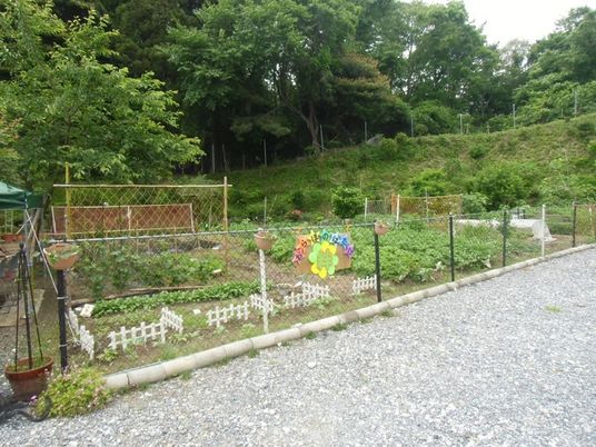 菜園のある庭  