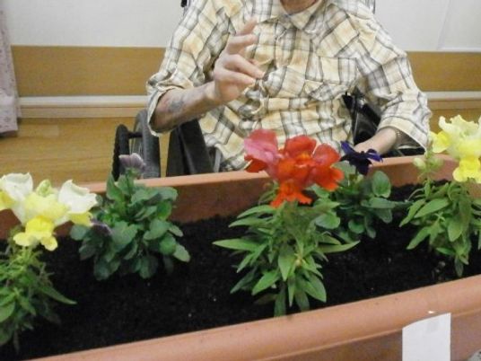 植木鉢とともにする人