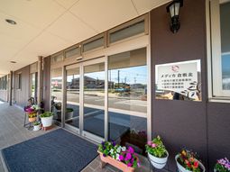 エントランスの装飾植物