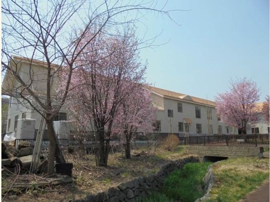 桜並木と建物外観